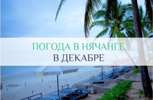 погода в нячанге в декабре
