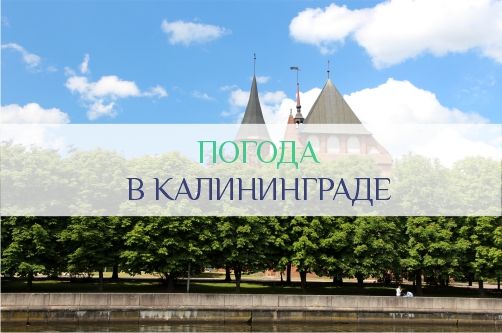 Погода в Калининграде