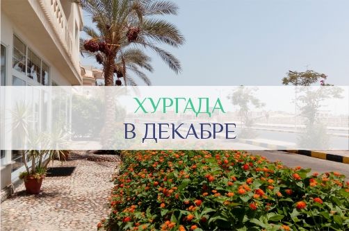 Хургада в декабре