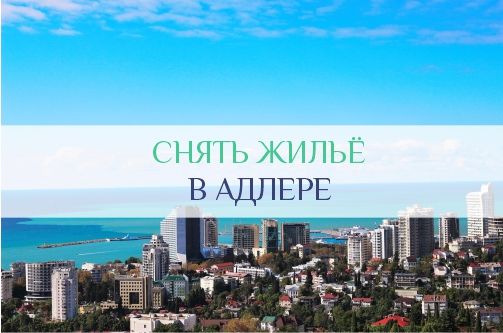 Жилье в Адлере