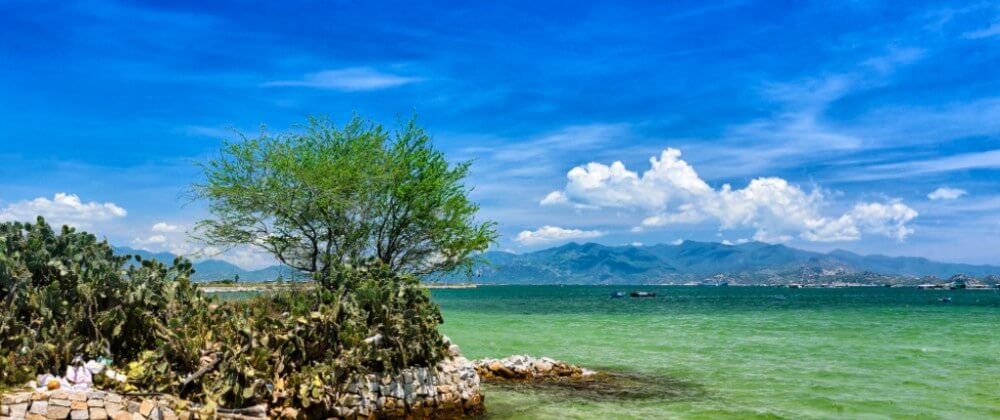 amiana resort nha trang путевки