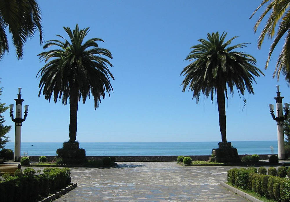 гагра, абхазия, набережная, море, берег, пальмы