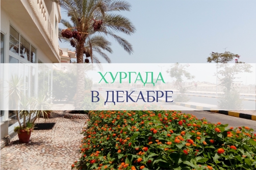 Погода в Хургаде в декабре | Египет: погода в Хургаде на Новый год