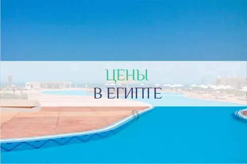 Поездка в Египет: цены на туры, питание, жилье | Сколько денег брать в Египет
